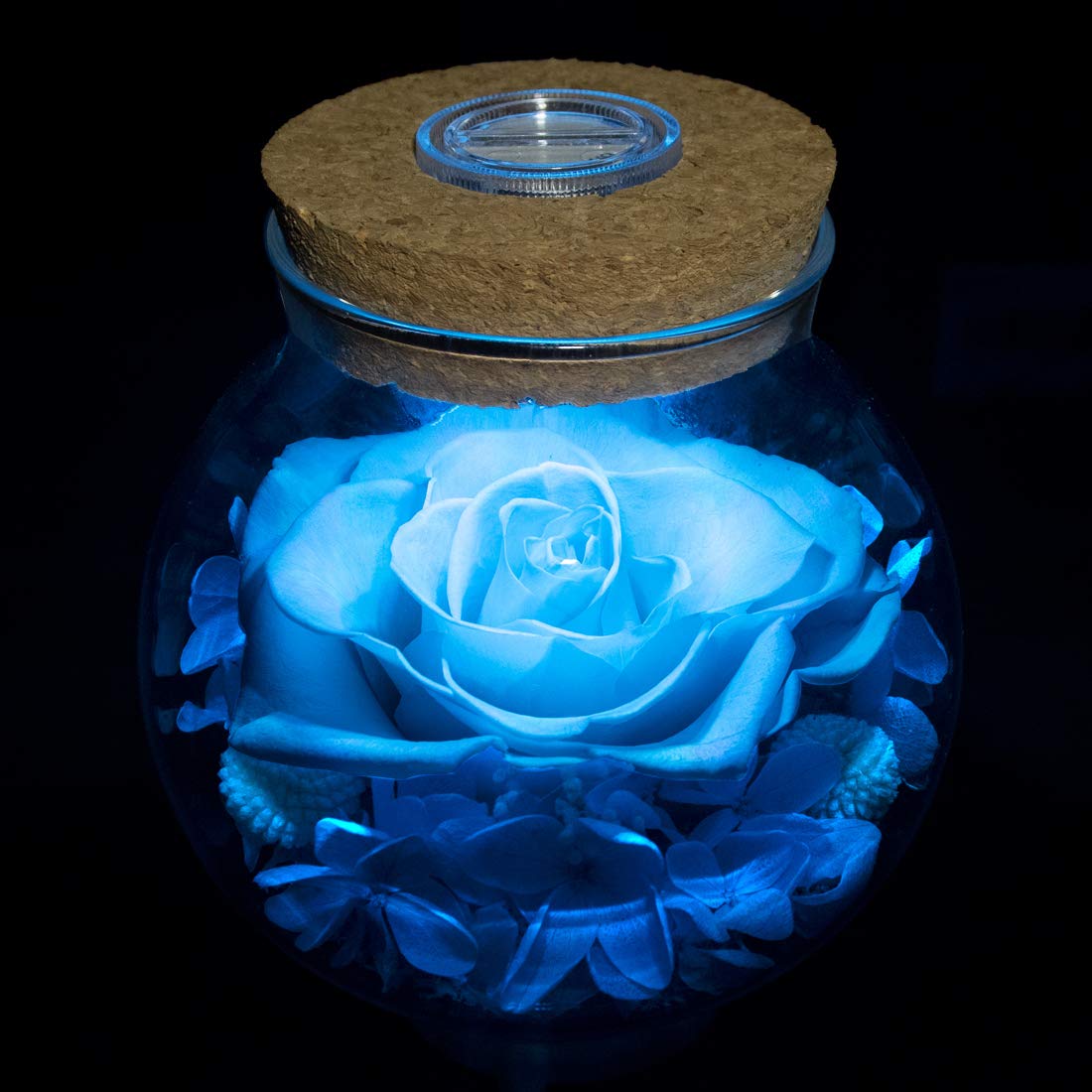 Preserved Real Roses with Colorful Mood Light Wishing Bottle, Eternal Rose，Never Withered Flowers, Table Decor,Christmas Anniversary Valentine's, Blue 4.3inch, 1pcs