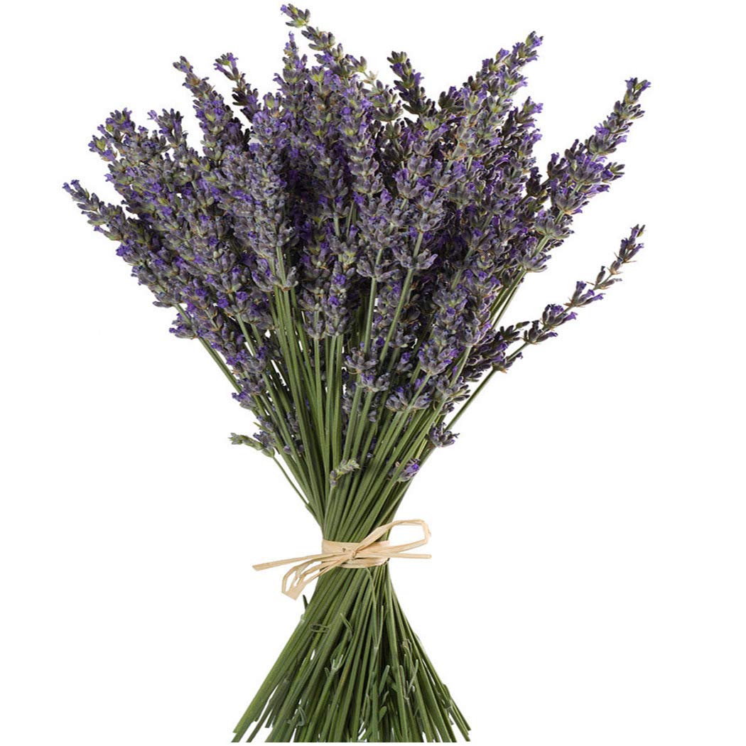 TooGet Natural Lavender Bundles, Freshly Harvested 200+ Stems Dried Lavender Bunch 16" - 18" Long, Decorative Flowers Bouquet for Home Decor, Crafts, Gift, Wedding or Any Occasion