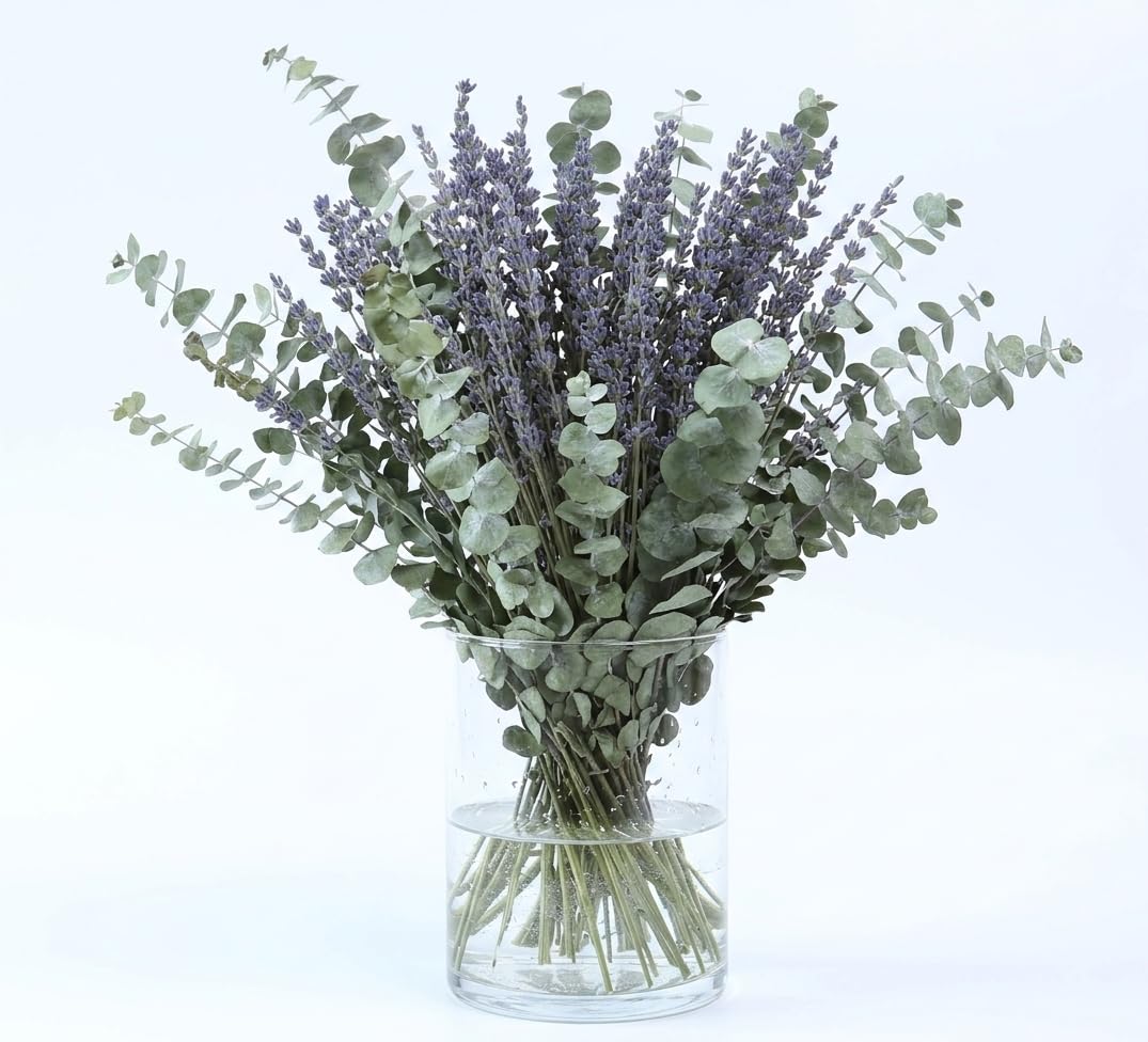 Dried Lavender 2 Bunches 100% Fresh Natural Purple Bouquet Flowers for Bathroom Photo Props Crafts Decoration, 15-17" for Shower Weeding Vase Decor, Home Fragrance(200-220 Stems(100g/3.5oz Total))