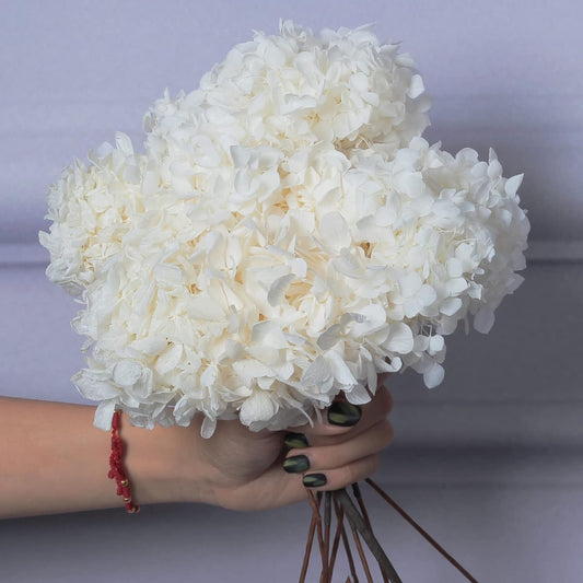 5 Pcs Preserved White Hydrangea Flowers, Real Handmade Floral Stems