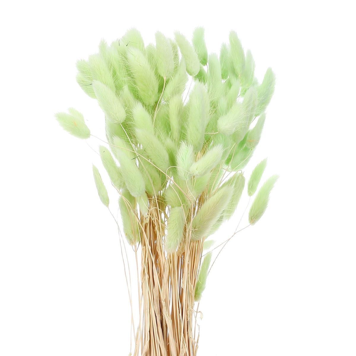 MECCANIXITY 120pcs Natural Rabbit Bunny Tail Dried 24" Mini Dark Green