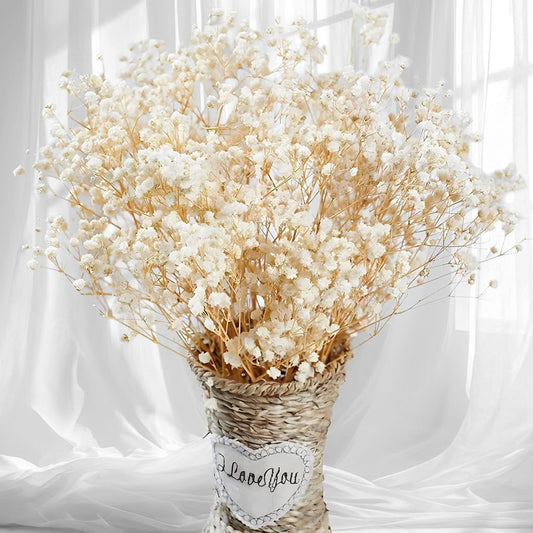 2500+ Dried Babys Breath Flowers Bulk, 17'' Ivory White Gypsophila Bouquet