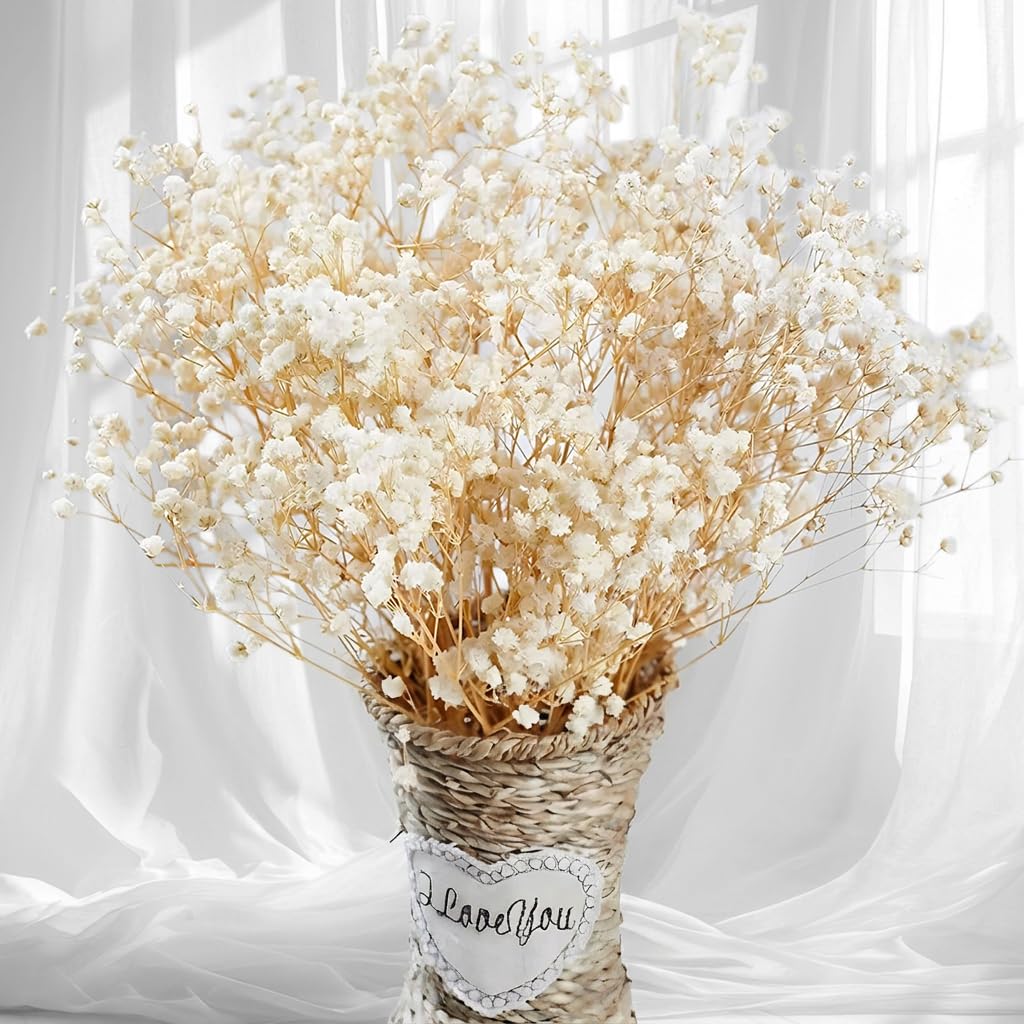 2500+ Dried Babys Breath Flowers Bulk, 17'' Ivory White Gypsophila Bouquet