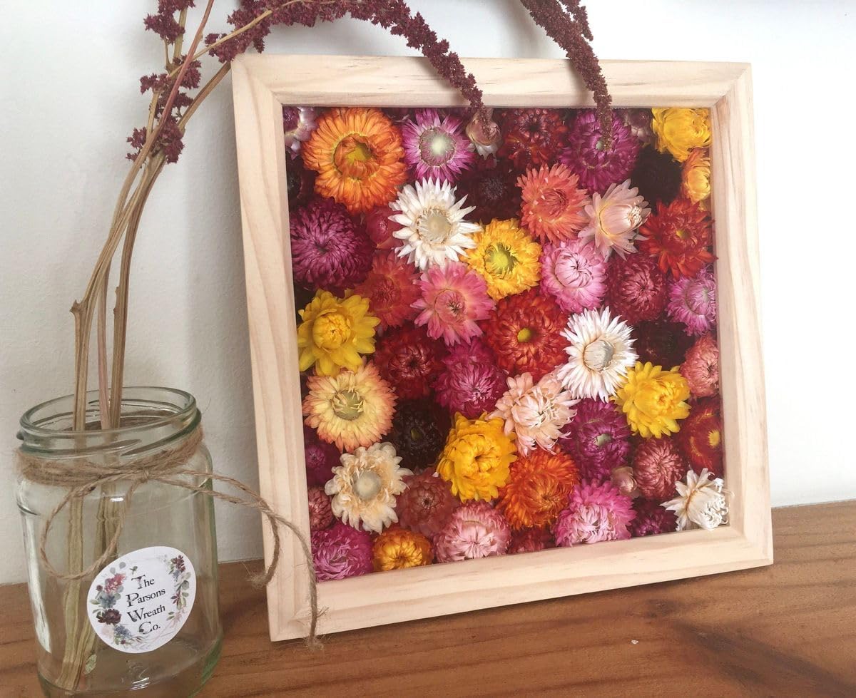 30Pcs Natural Multicolor Dried Daisy Flowers Stems-Dried Flowers Bouquet