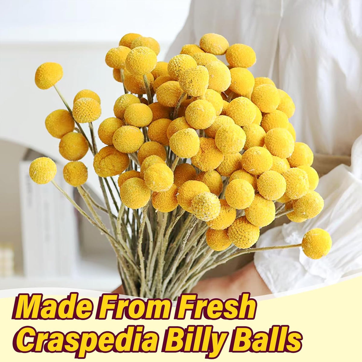 40pcs Dried Billy Balls Flowers for Wedding Decor & Floral Displays