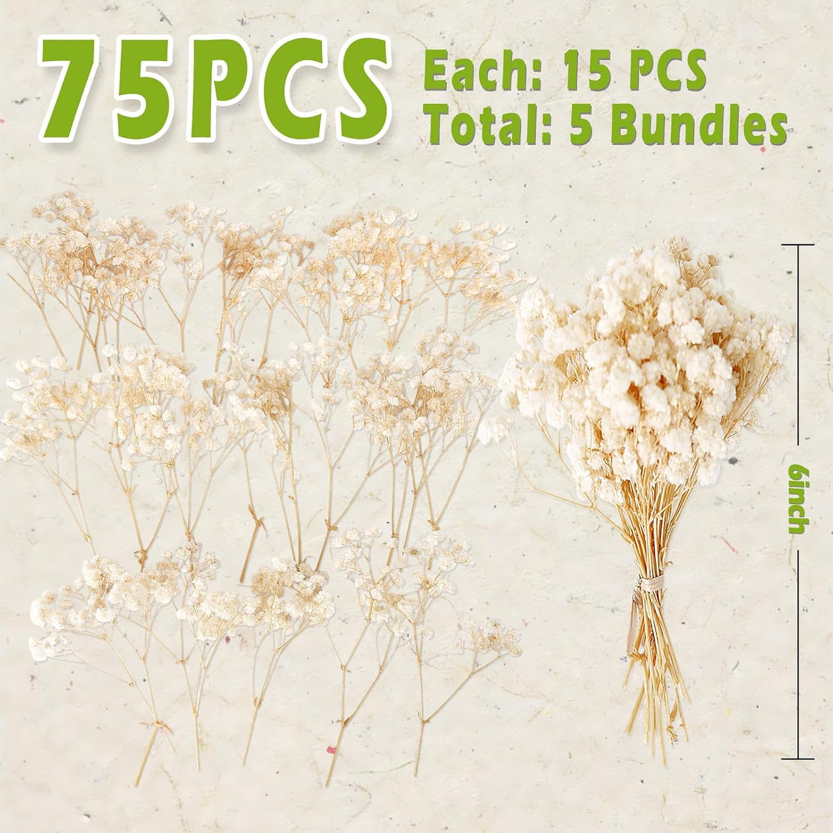 2500+ Mini Dried Baby's Breath Flowers Ivory White for Wedding Decor