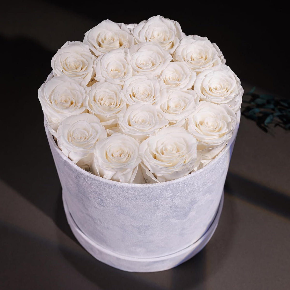 17 Flowers in Luxury Suede Box, Birthday Gifts for Women, Preserved Flowers