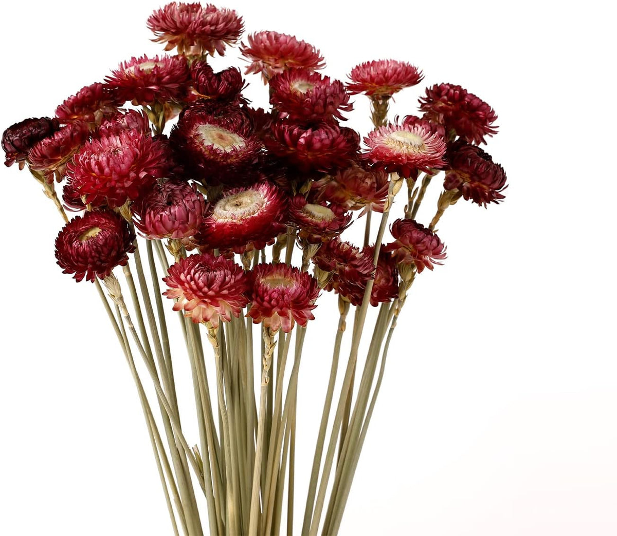 MIHUAGE Dried Flower 40PCS Daisy Bouquet 100% Natural Chrysanthemum Dry Flower with Stem for Vase Home décor Party DIY Arrangement Wheat Straw Bulk (Burgundy)