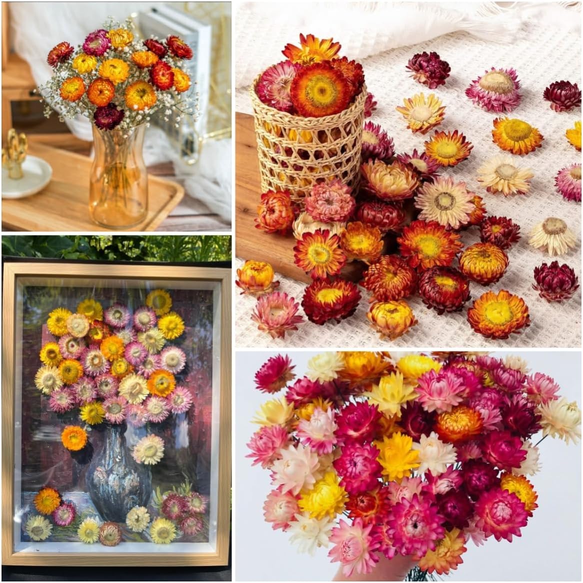 30Pcs Natural Multicolor Dried Daisy Flowers Stems-Dried Flowers Bouquet