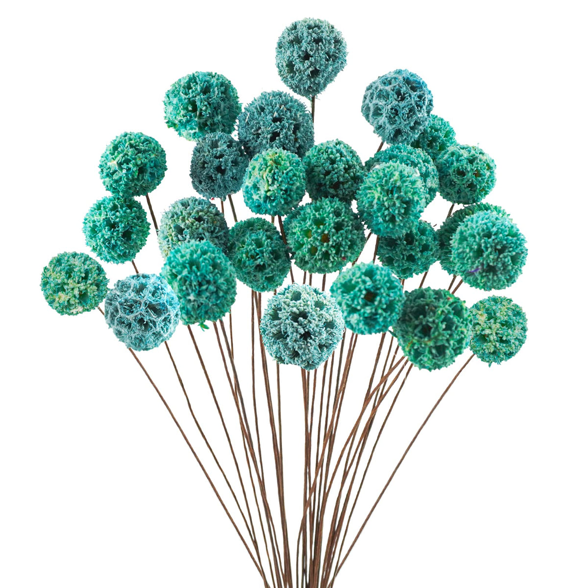 24 PCS Dried Craspedia Billy Balls Flowers, 18” Natural Dried Flowers Bouquet for Vase Floral Arrangements Wedding Table Centerpieces Party DIY Home Decor (White)