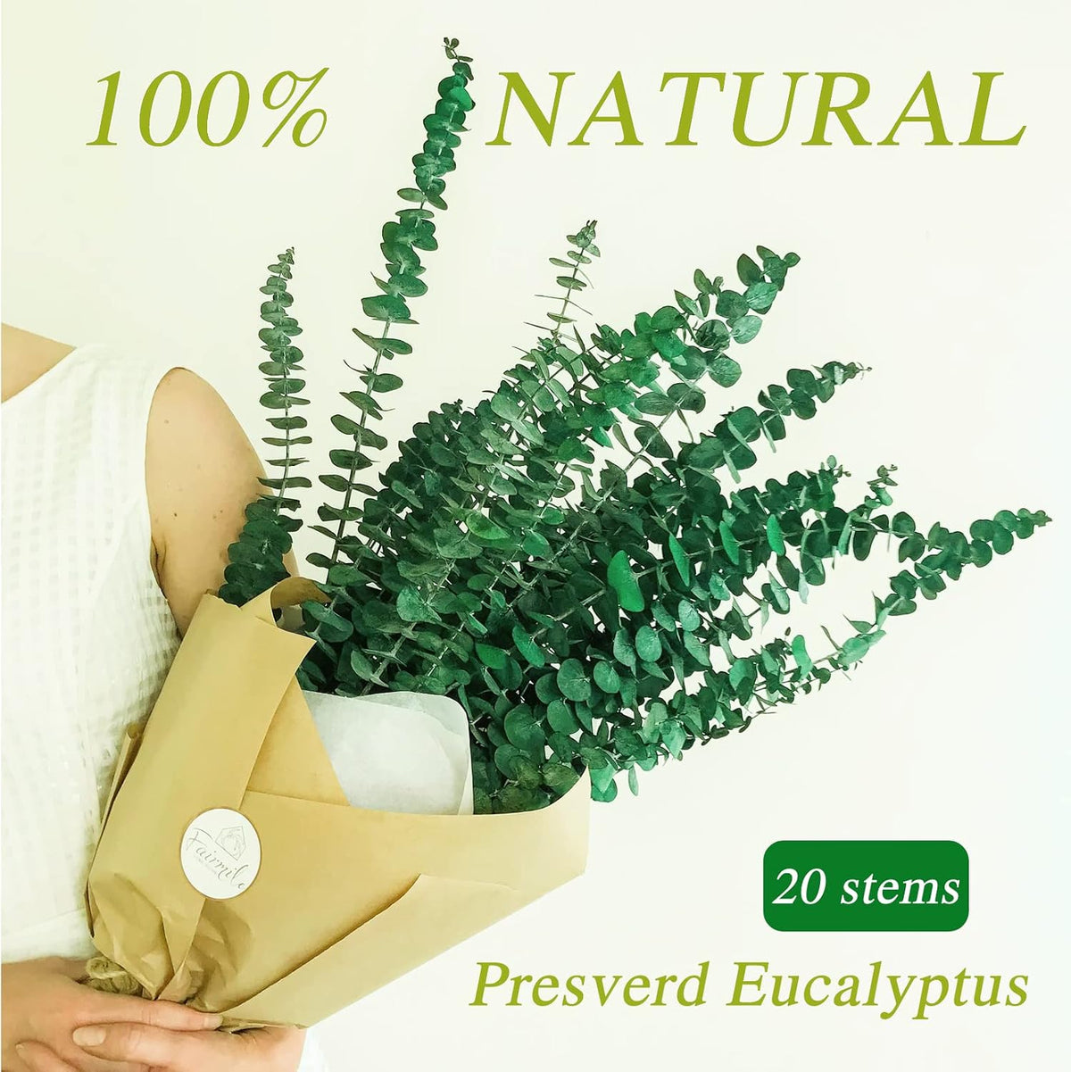 20 Pcs Preserved Dried Eucalyptus Stems, Eucalyptus Branches for Shower