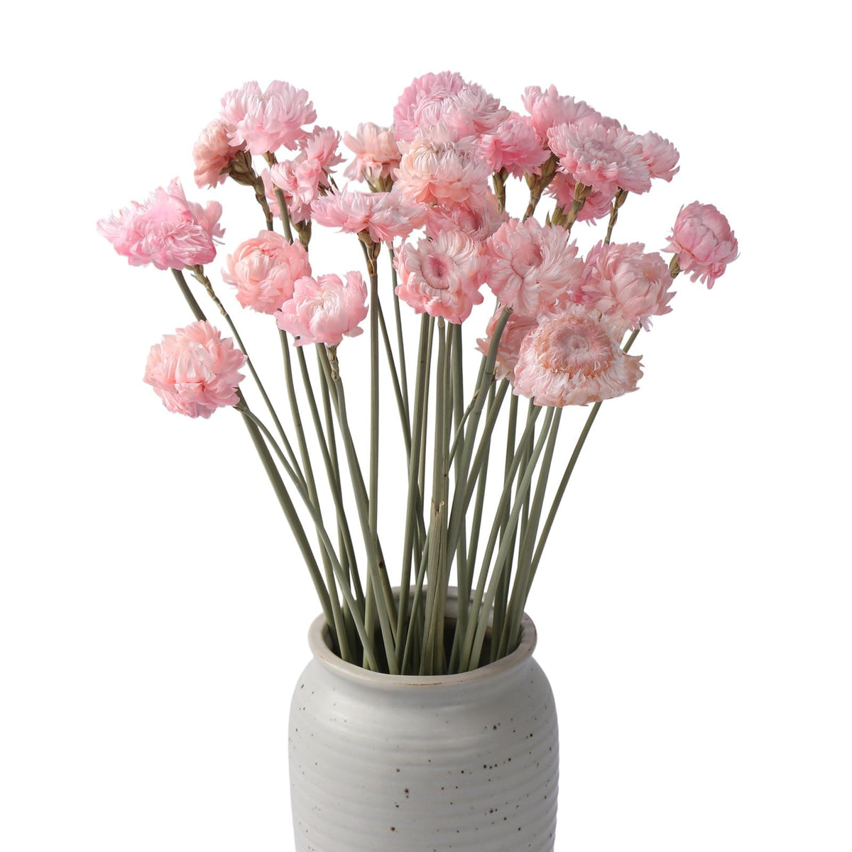 MIHUAGE Dried Flower 40PCS Daisy Bouquet 100% Natural Chrysanthemum Dry Flower with Stem for Vase Home décor Party DIY Arrangement Wheat Straw Bulk (Burgundy)