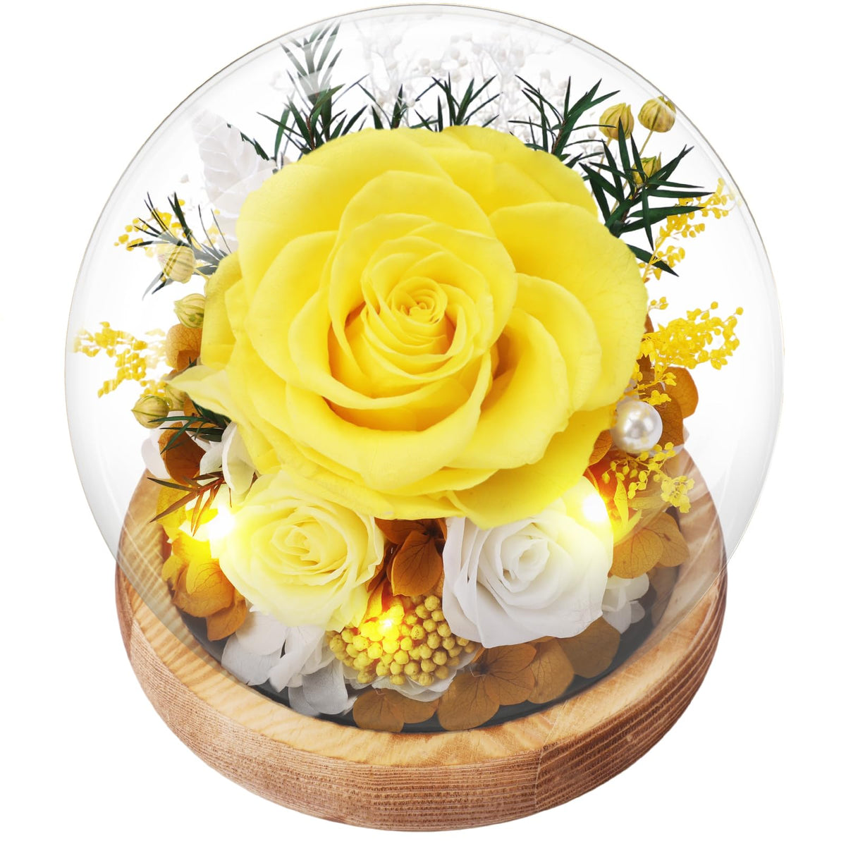 Casaido Preserved Roses Flowers for Delivery, Mothers Day Rose Gifts for Mom Her, Purple Forever Flores in Glass Dome for Wife Girlfriend Grandma, Anniversary Birthday Gift for Vanlentines Christmas