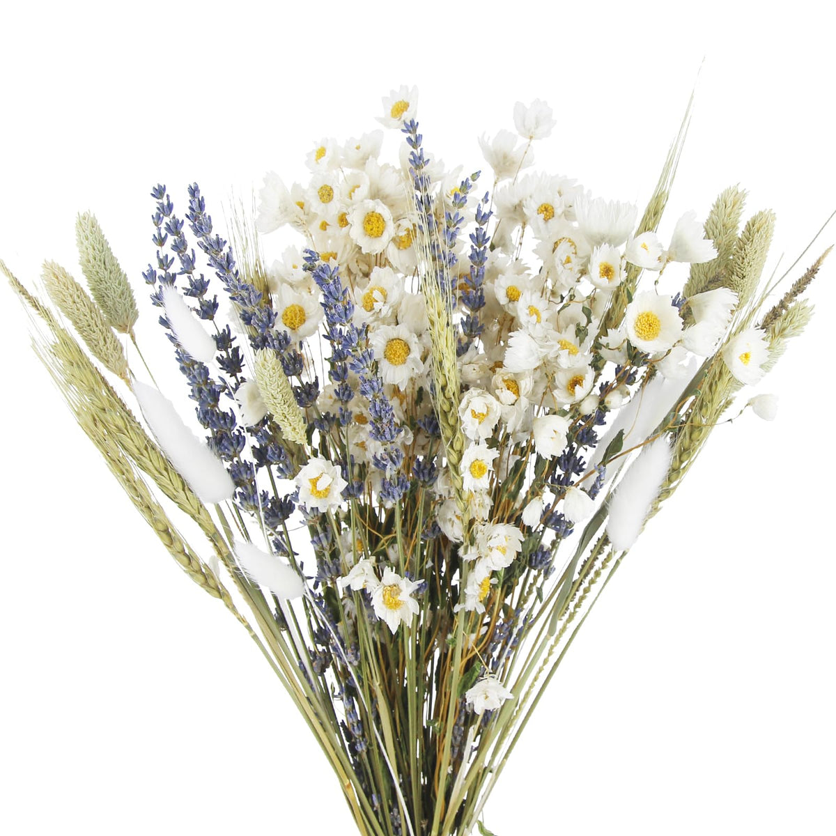 Dried Flowers Bouquet Dried Daisy Flowers Natural Lavender Dried Flowers Bunny Tails Gerber Daisies Flowers Wheat Stalks Floral Arrangements for Wedding Table Centerpiece Decor Farmhouse DIY