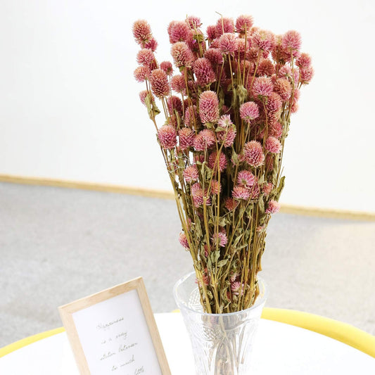 MIHUAGE Dried Flower White Globe Amaranth Dry Flower Bundles 100% Naturally for Home Decor Party (Pink)