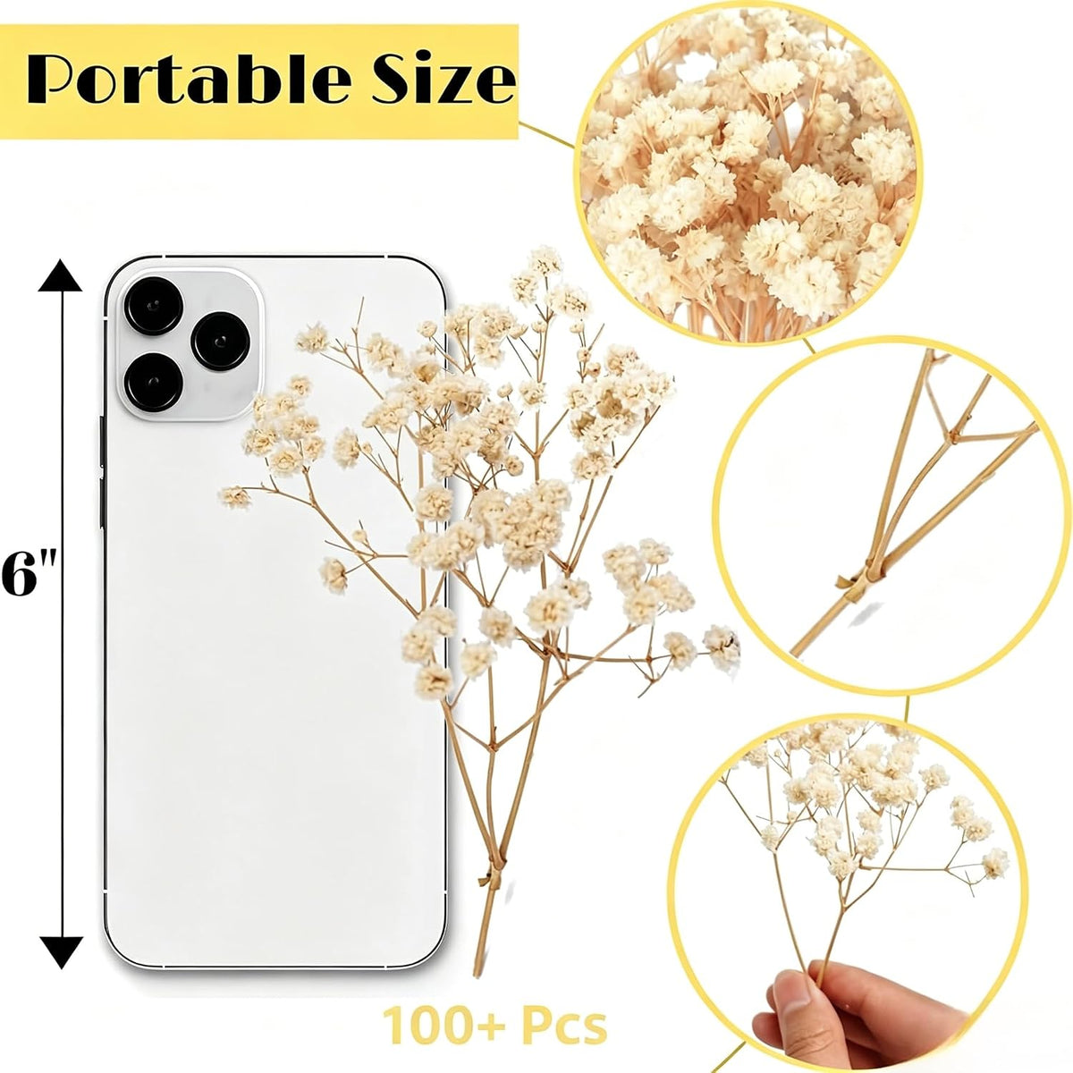 6000+ Mini Dried Baby's Breath Flowers, 100 Pcs Ivory White Gypsophila, 6in
