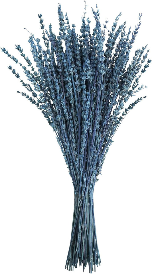 Uieke Dried Lavender Flowers Bundle, 16" Dried Lavender Bouquet Blue Flowers for Shower Weeding Home Fragrance Vase Crafts Decor, 50g(1.76oz)