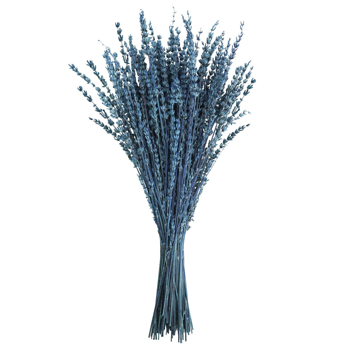 Uieke Dried Lavender Flowers Bundle, 16" Dried Lavender Bouquet Blue Flowers for Shower Weeding Home Fragrance Vase Crafts Decor, 50g(1.76oz)