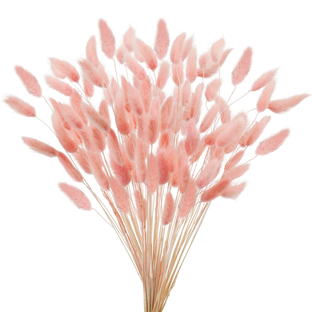 Uieke 120 Pcs Natural Bunny Tails Dried Flowers, 17’’ Dried Lagurus Ovatus, Orange Fall Dried Flowers for Fall Floral Arrangements Wedding Centerpieces Home Baby Shower Party Decorations