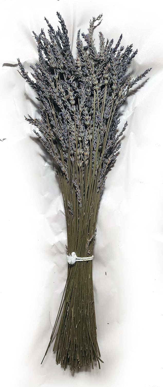 Kaze Home Natural Dried Lavender Flower Bundle Grosso Bulk Bunches | 3000 Stems, 23 inch Extra Long, 8 lb | Home Decoration, Fragrance, Bouquet Weddin