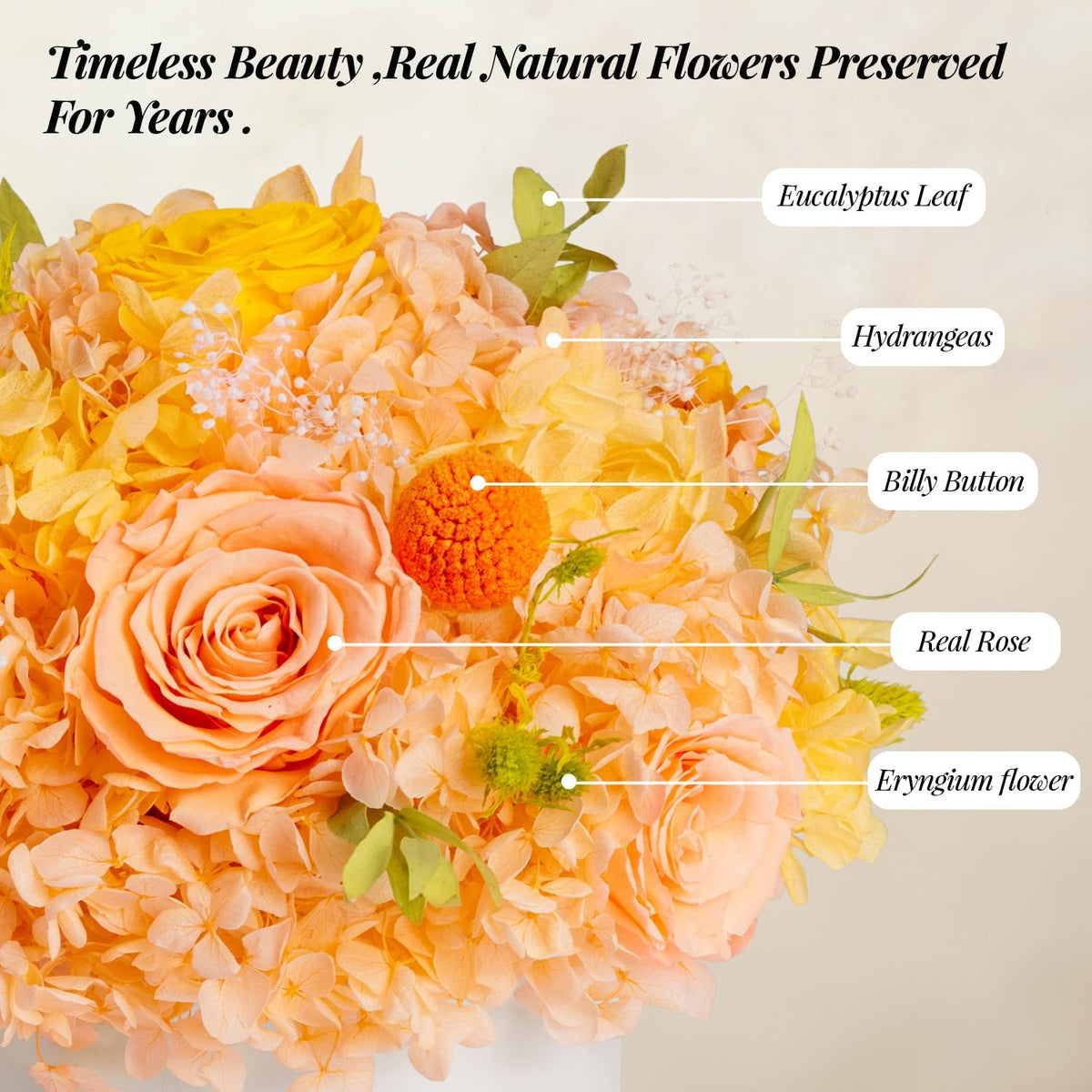 ROSEROSE Preserved Flowers for Delivery Prime,Forever Flowers Bouquet with Gift Box, Eternal Real flowers Gifts for Women,Christmas,Valentine's Day,Anniversary,Birthday for Her (Champagne)