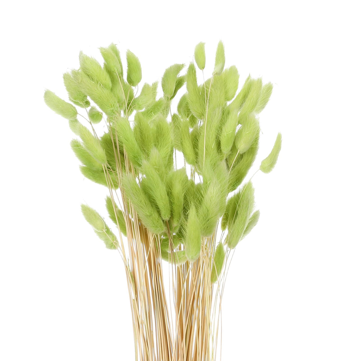 MECCANIXITY 120pcs Natural Rabbit Bunny Tail Dried 24" Mini Dark Green