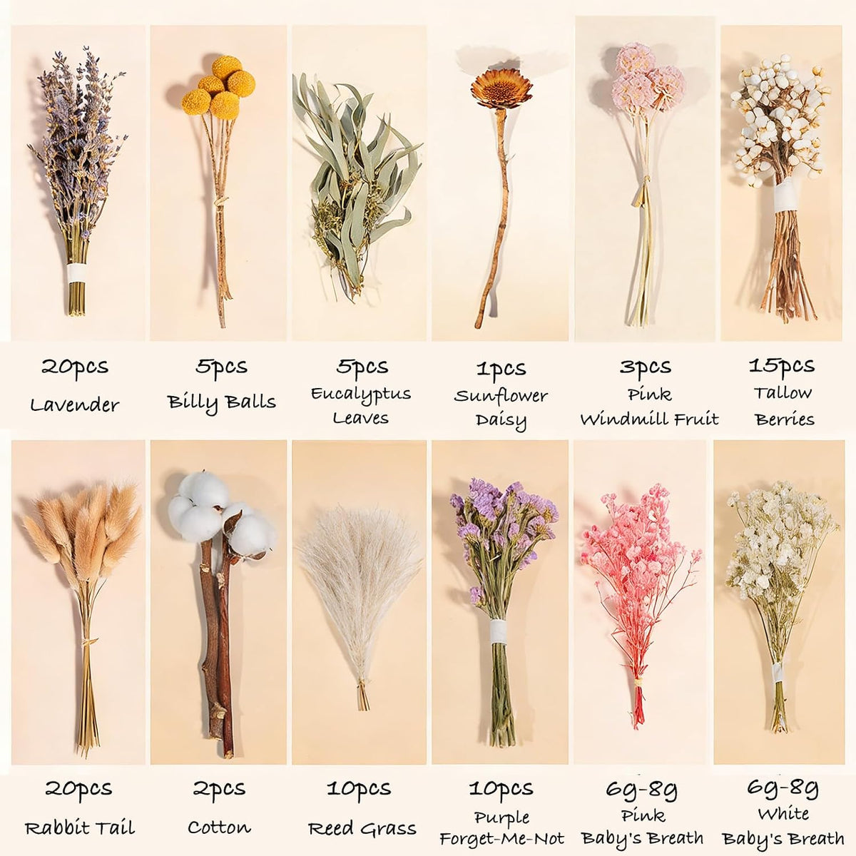 12 Kinds Natural Dried Flower Set, Bulk Dried Flowers for Vase,Mini Dried Flower Bouquets,Dried Flowers with Stems for DIY Crafts, Vase Decor,Home/Wedding/Birthday Decor(8.7-13.8in Flexible Stems)