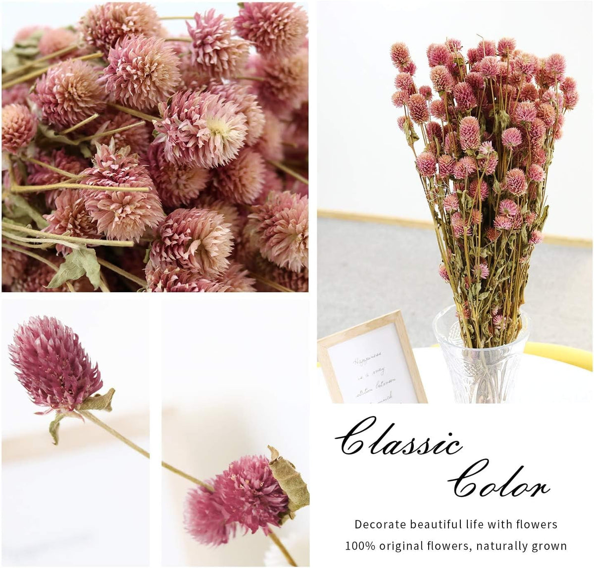MIHUAGE Dried Flower White Globe Amaranth Dry Flower Bundles 100% Naturally for Home Decor Party (Pink)