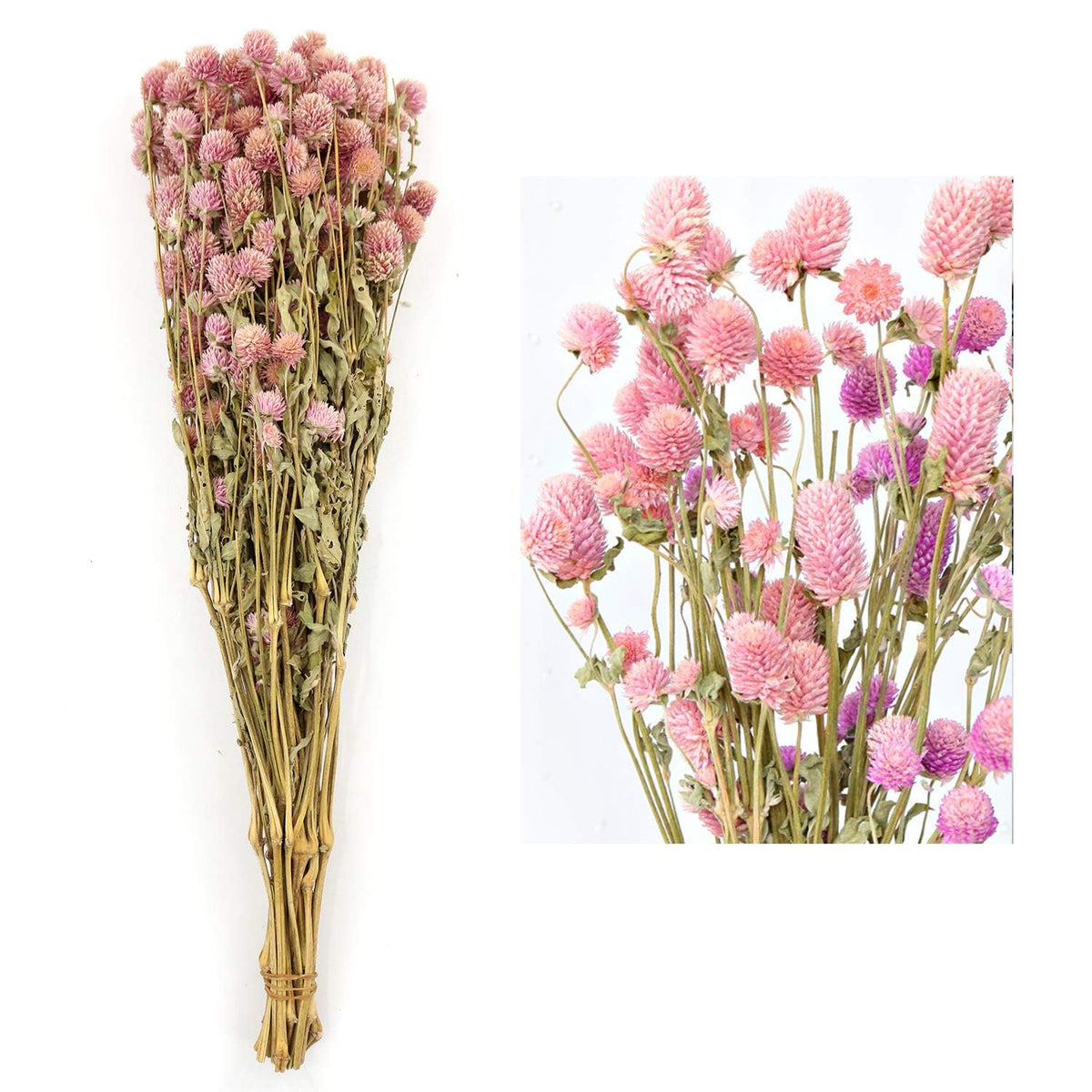 MIHUAGE Dried Flower White Globe Amaranth Dry Flower Bundles 100% Naturally for Home Decor Party (Pink)
