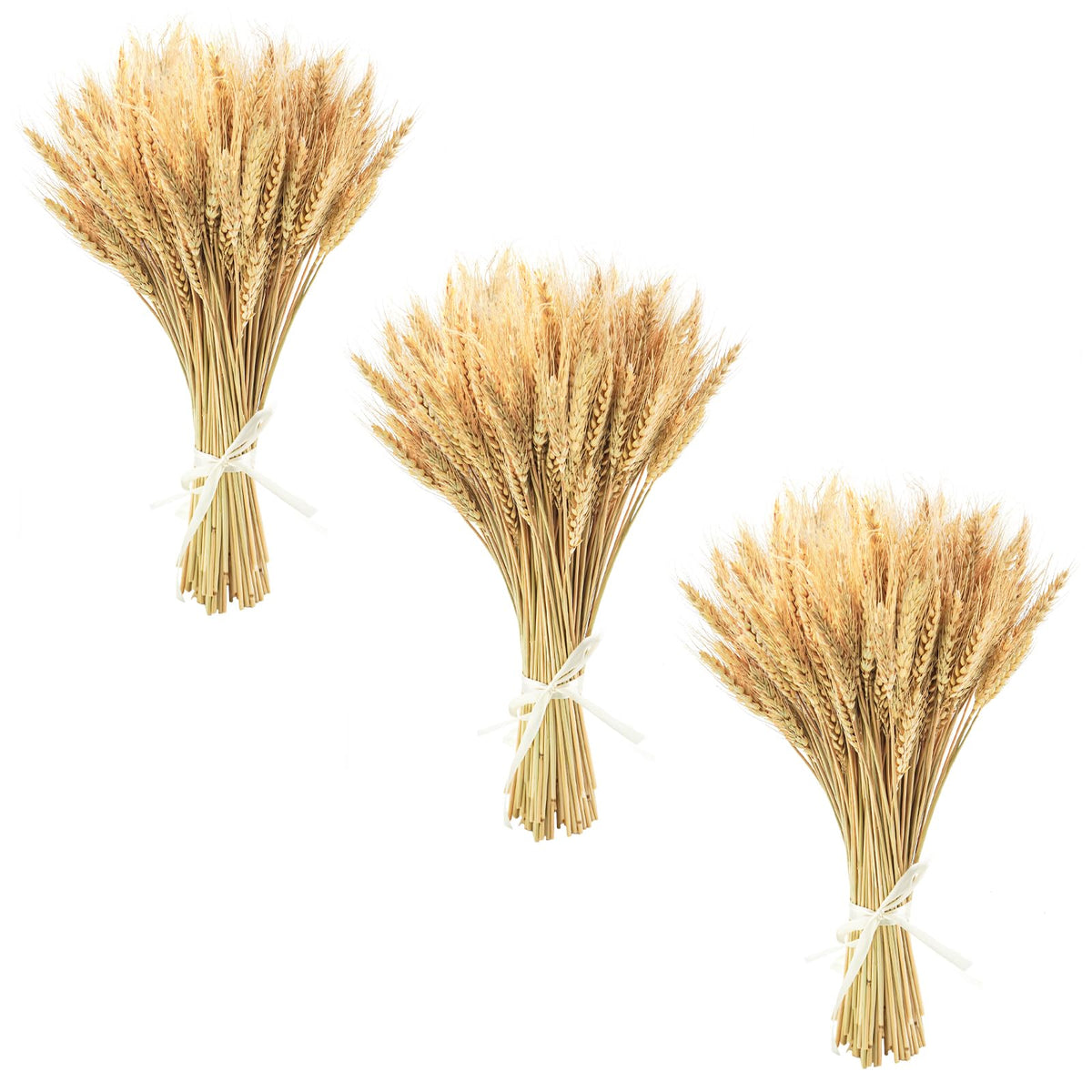 Uieke 17.7 Inches Dried Wheat Stalks, 100 Stems Dried Flowers 100% Natural Wheat for Home Kitchen Wedding Party Table Centerpiece Harvest Wreath Boho Farmhouse DIY Decoration