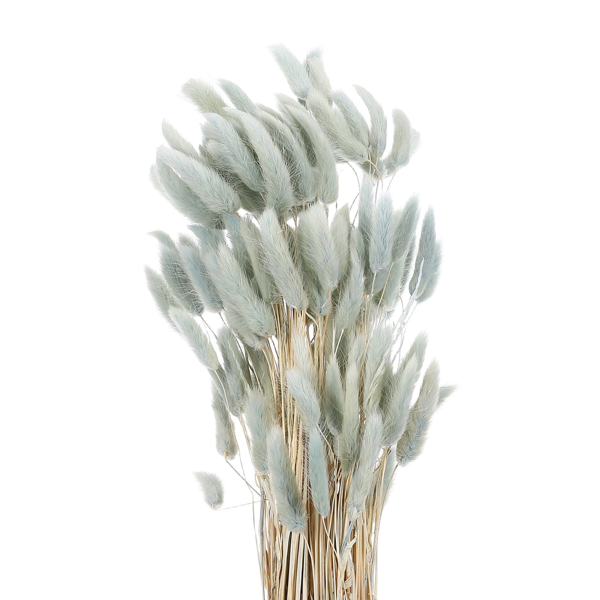 MECCANIXITY 120pcs Natural Rabbit Bunny Tail Dried 24" Mini Dark Green