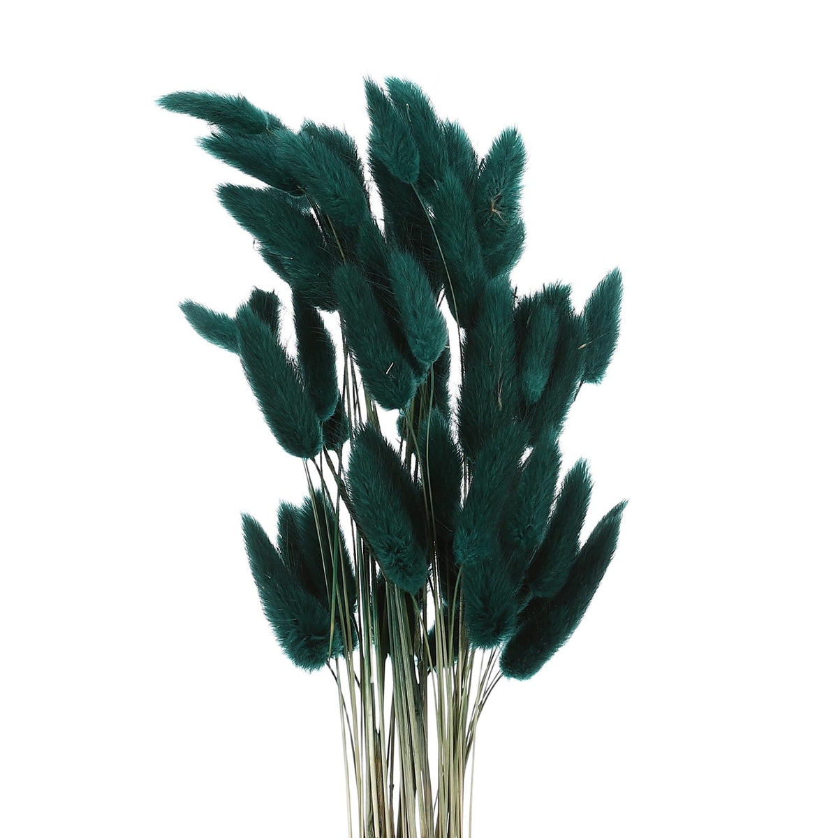 MECCANIXITY 120pcs Natural Rabbit Bunny Tail Dried 24" Mini Dark Green