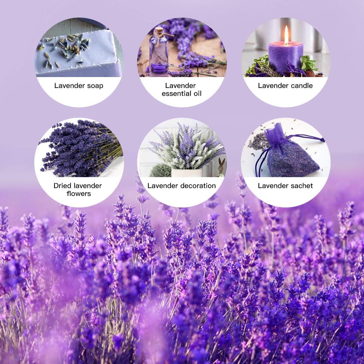 16 Inches Dried Lavender 2 Bunches Real Stems for Home Wedding Decoration