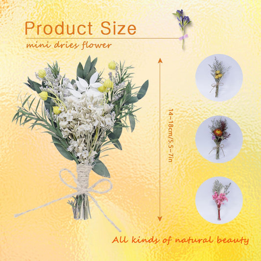 TooGet 9Pcs Mini Dried Flower Bouquets Real Small Boho Floral Bouquet Natural Dried Flowers for DIY Crafts Cake Gift Packaging Wedding Decor and Home Decorations