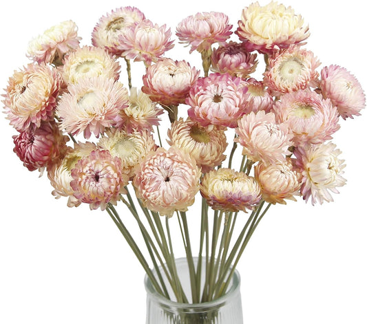 CITYES 20 Pcs Natural Dried Daisy Flowers Bouquet Dried Flower Pink Daisies Dried Sunflowers Chrysanthemum with Stem for Wedding Farmhouse Table Vase Decor Home DIY Flower Arrangement