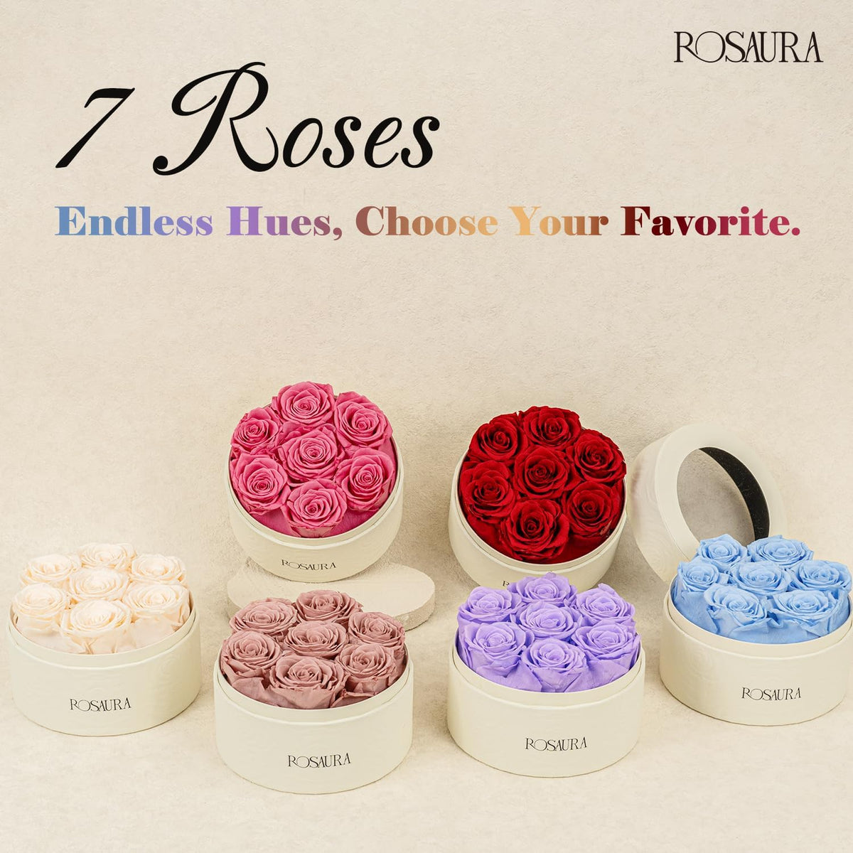 Rosaura Round Preserved Roses Gift Box (Pink, 7 Roses)