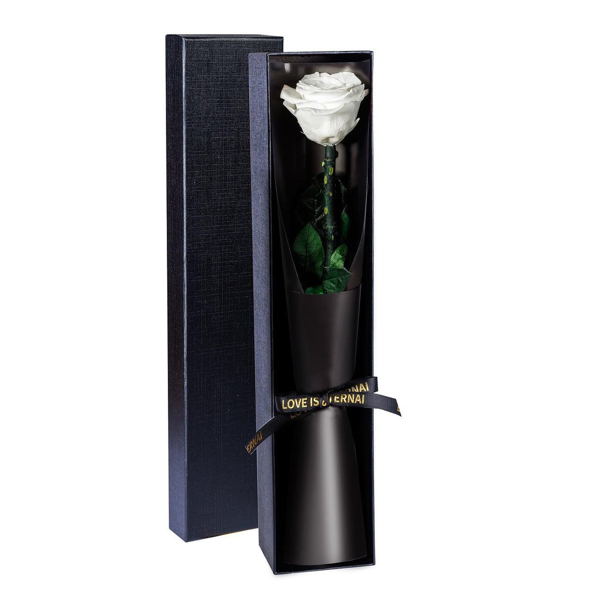 Preserved Flowers Gifts for Women, Flowers for Delivery, Single Roses with Stem, Valentines Day Roses Gifts for Her, Mothers Day Flowers for Mom (Dusty Rose, Single Rose)