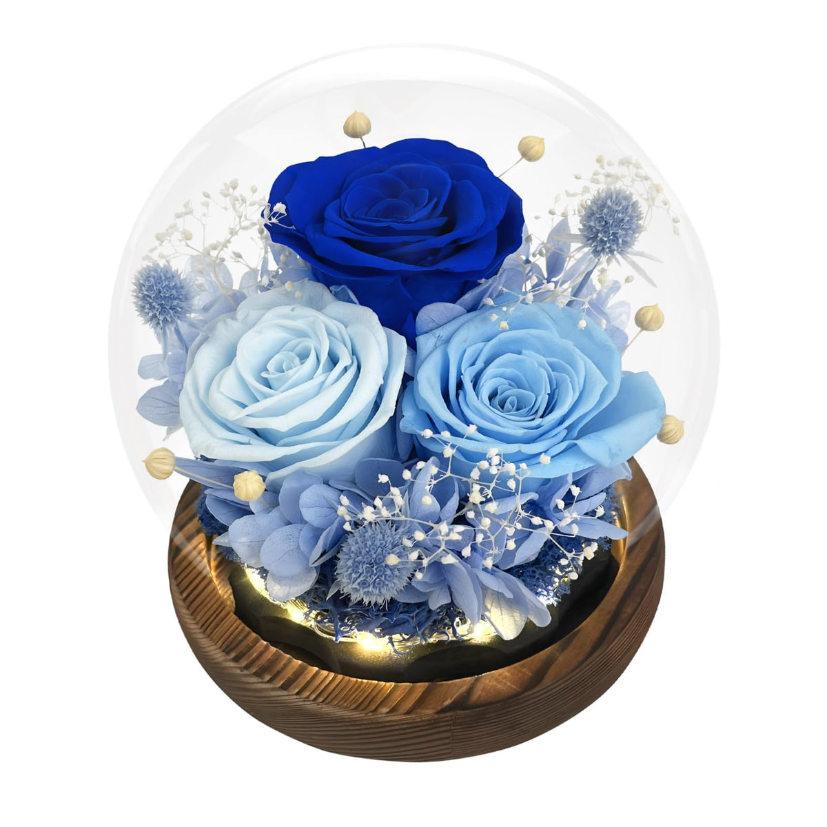 FIACO Gifts for Mom Flowers for Delivery Birthday Gifts for Women Grandma Forever Preserved Eternal Rose in Glass Dome Mother Days Valentines Anniversary for Girlfriend Wife Her, Purple