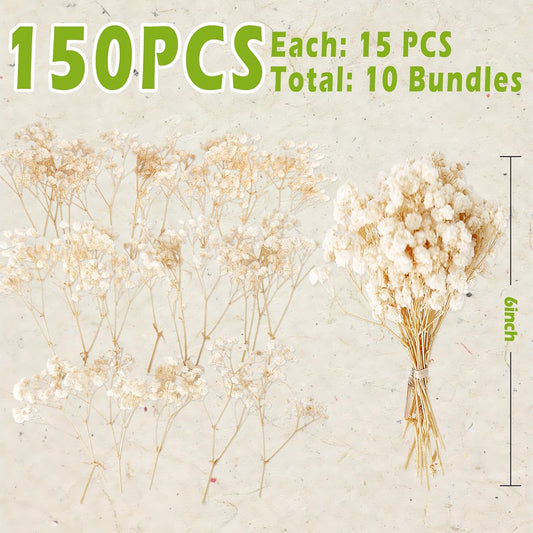9000+ Mini Dried Baby's Breath Flowers Ivory White for Wedding Decor