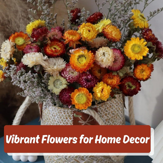 30pcs Dried Strawflowers Bouquet Long Stem Flowers for Wedding & Home Decor