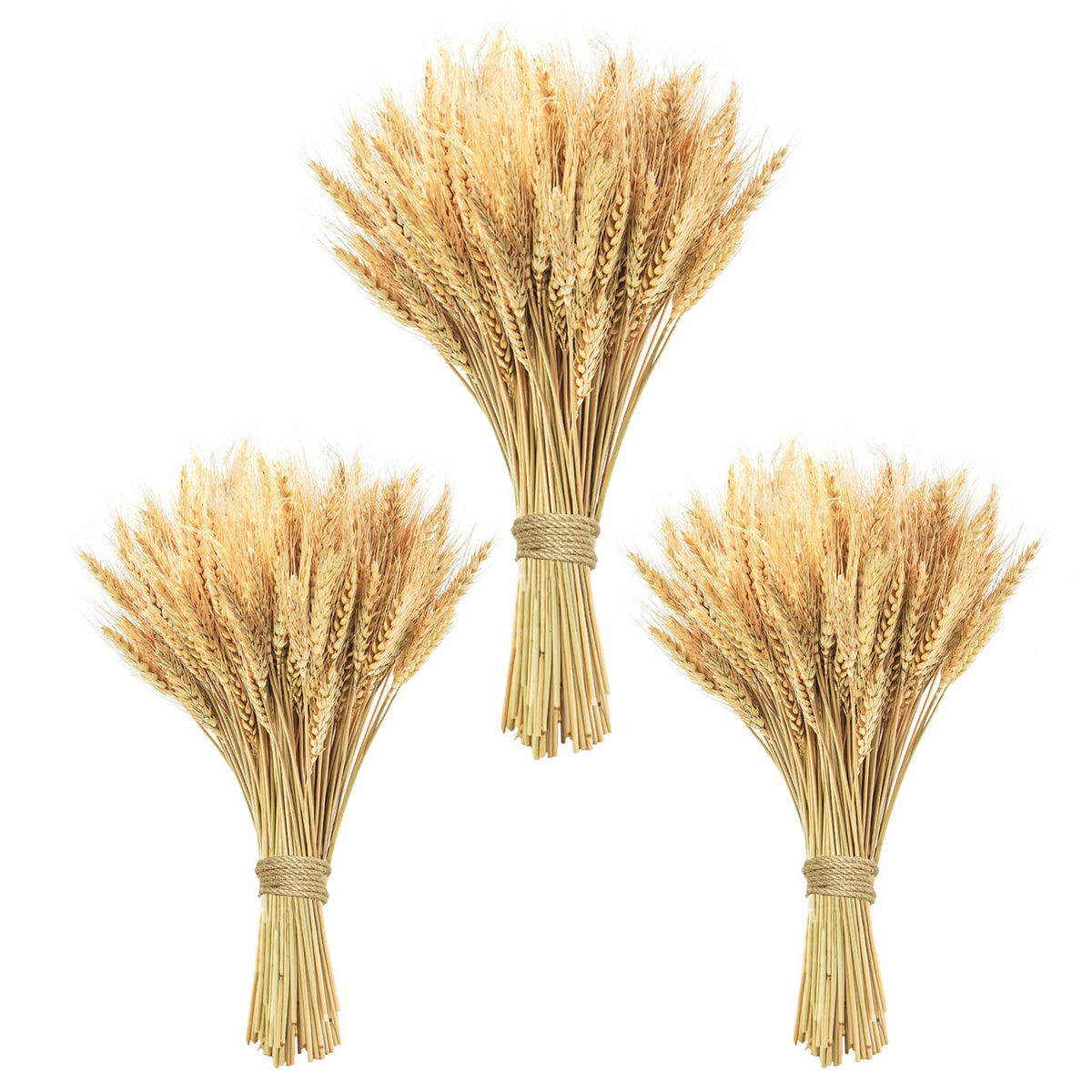 17.7 inches Dried Wheat Stalks, 100 Stems Dried Flowers 100% Natural Wheat for Home Kitchen Office Flowers Arrangement Wedding Table Farmhouse Boho Party Fall Décor