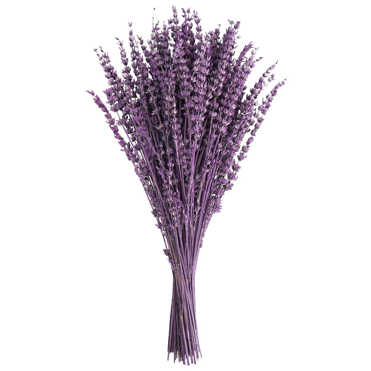 Uieke Dried Lavender Flowers Bundle, 16" Dried Lavender Bouquet Blue Flowers for Shower Weeding Home Fragrance Vase Crafts Decor, 50g(1.76oz)