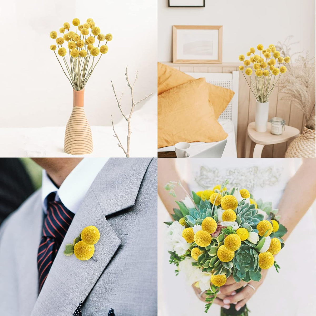 Uieke 30Pcs Natural Dried Flowers Craspedia Billy Balls Flowers Billy Buttons Floral Bouquet for Flower Arrangements Wedding Home Tall Vase Decor Yellow