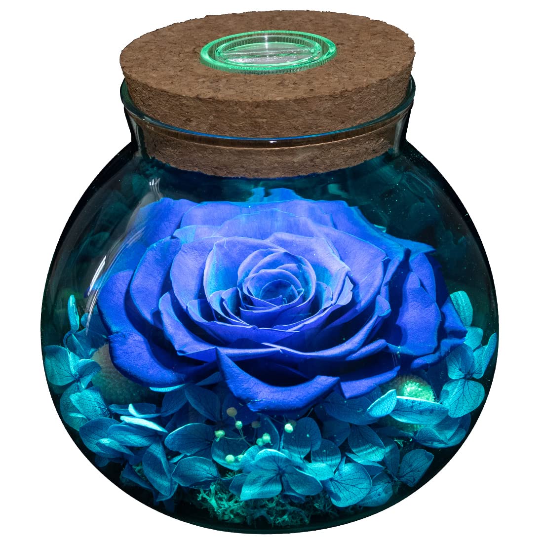 Preserved Real Roses with Colorful Mood Light Wishing Bottle, Eternal Rose，Never Withered Flowers, Table Decor,Christmas Anniversary Valentine's, Blue 4.3inch, 1pcs