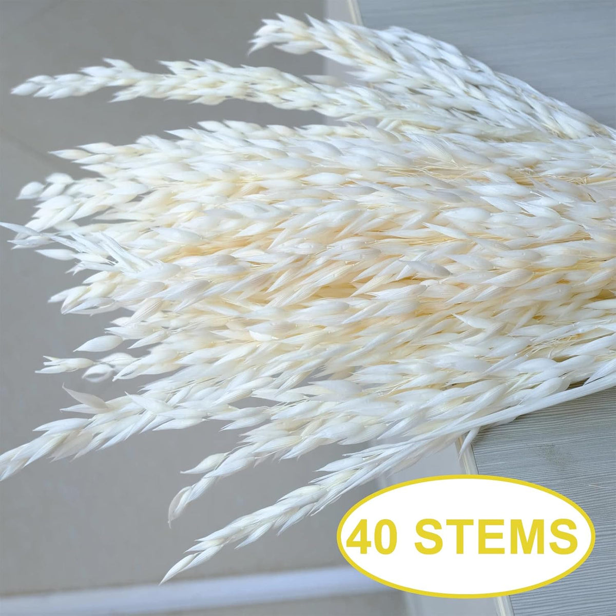 40 PCS Stems Dried White Oat Flowers, 17" Natural Bleached Avena Stems