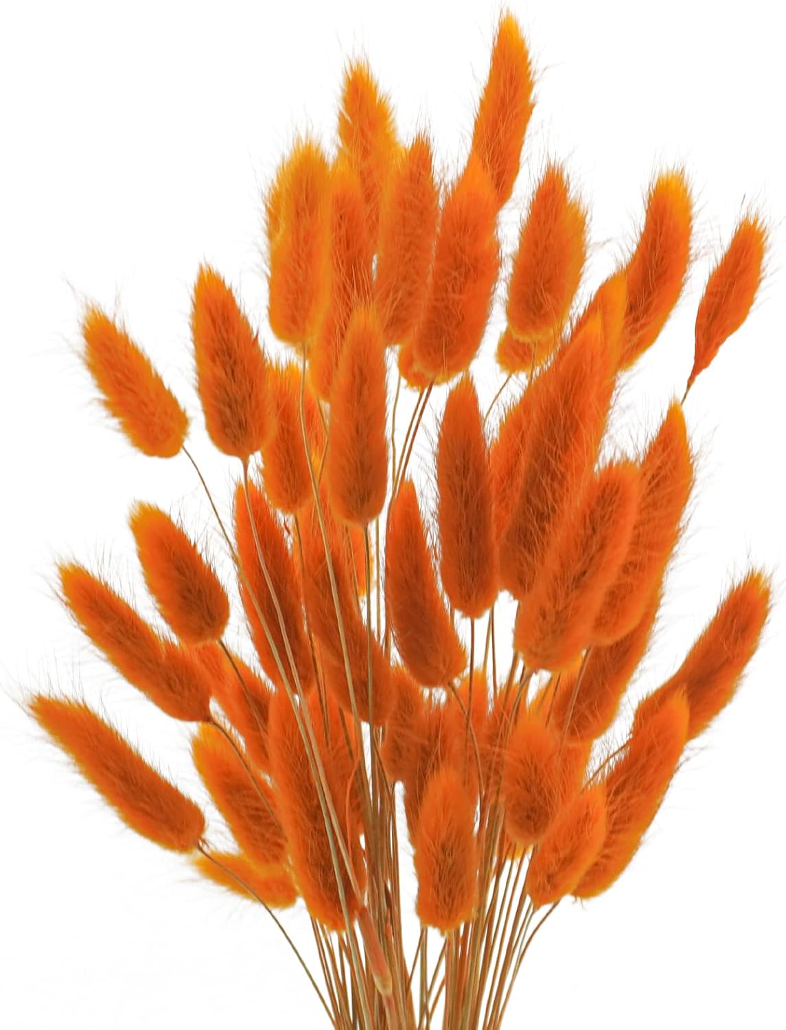 Uieke 120 Pcs Natural Bunny Tails Dried Flowers, 17’’ Dried Lagurus Ovatus, Orange Fall Dried Flowers for Fall Floral Arrangements Wedding Centerpieces Home Baby Shower Party Decorations