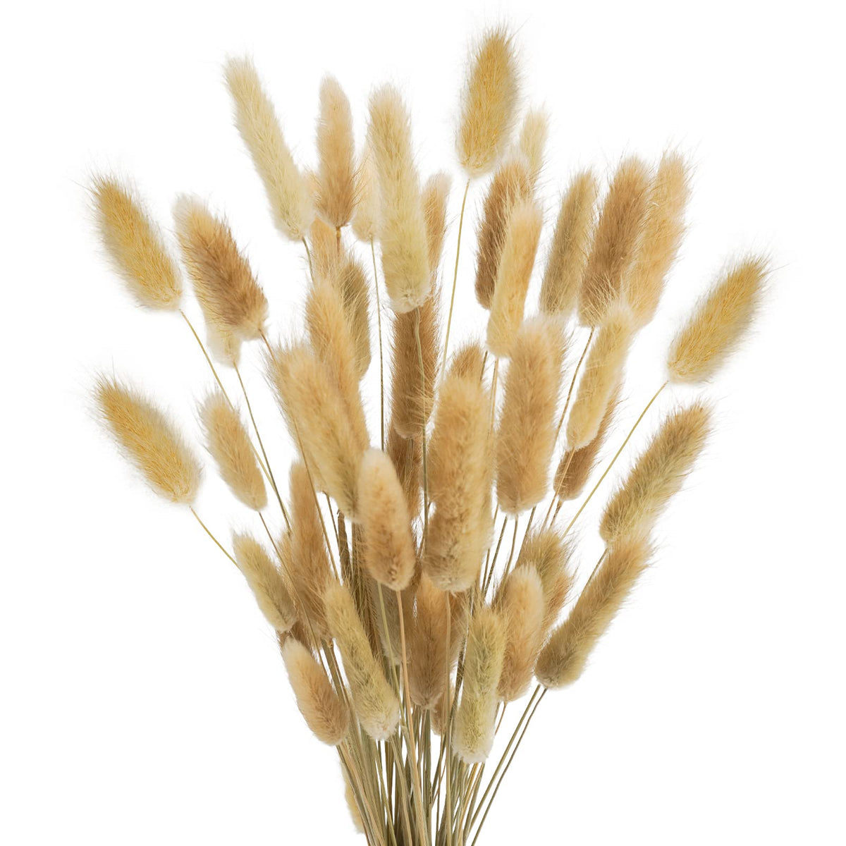Uieke 120 Pcs Natural Bunny Tails Dried Flowers, 17’’ Dried Lagurus Ovatus, Orange Fall Dried Flowers for Fall Floral Arrangements Wedding Centerpieces Home Baby Shower Party Decorations