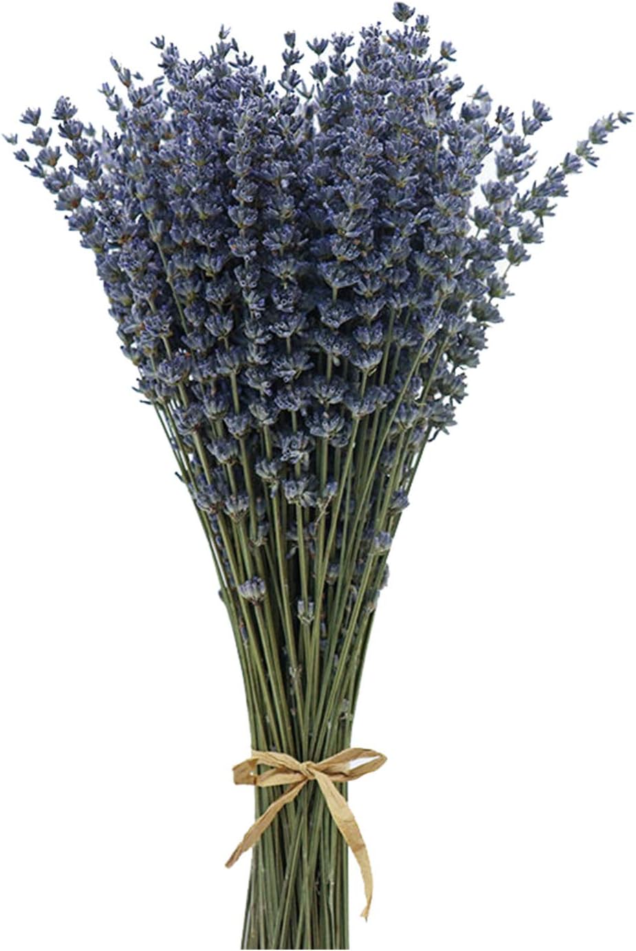 Dried Lavender Flowers Bundles 200 Stems Dry Lavender Bunch for Home Decor, Crafts, Wedding Bouquets