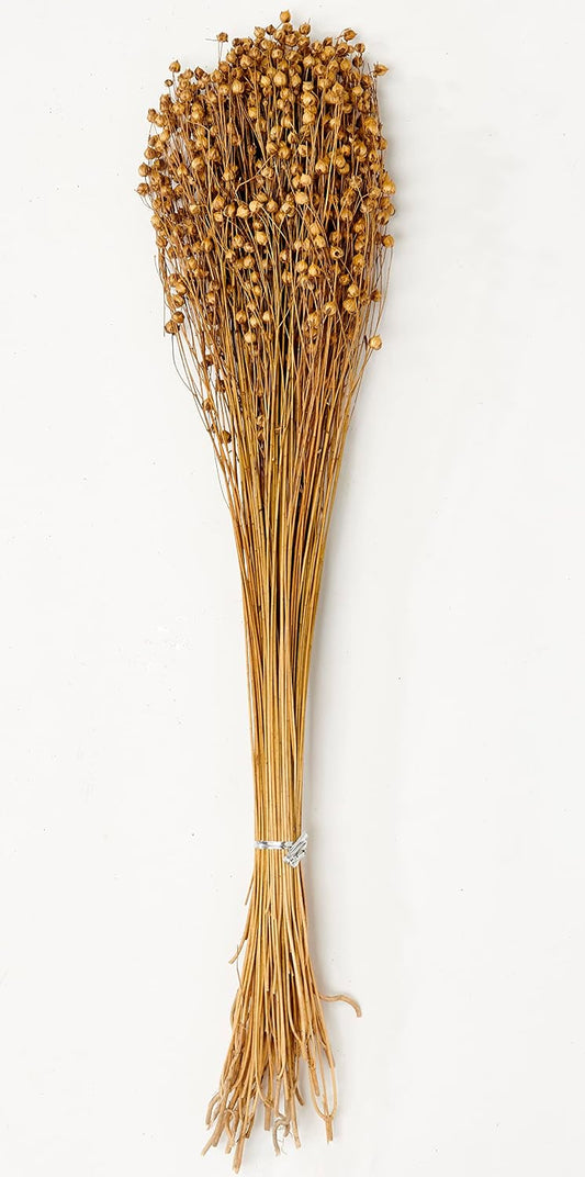 Worth Imports 25" Lino Flax Grass Bunch Natural, Set of 6