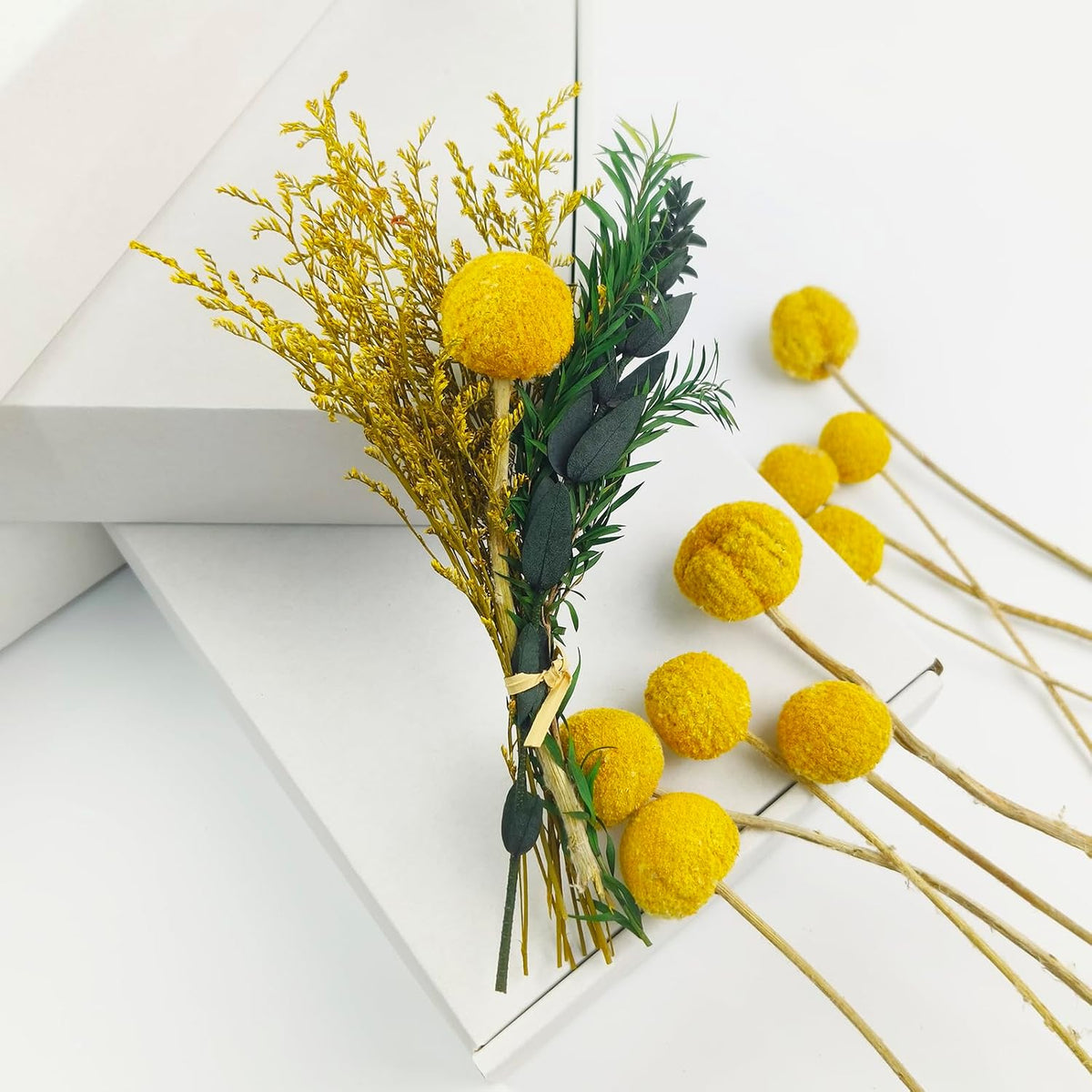 TooGet Natural Craspedia Dried Flowers Yellow Billy Buttons Balls Bouquet